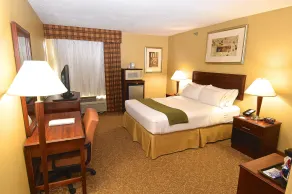 Holiday Inn Express Hotel & Suites Fenton/I-44 by IHG - Chambre