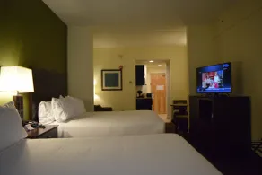Holiday Inn Express & Suites Geneva Finger Lakes by IHG - Chambre