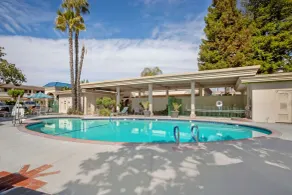 Best Western Plus Black Oak - Piscine