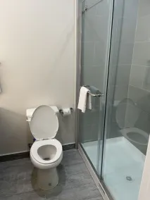Palace Inn Blue - Garth Rd - Bathroom
