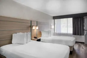 Quality Inn - Cairo - Værelse