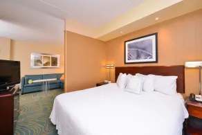 SpringHill Suites Arundel Mills BWI Airport - Chambre