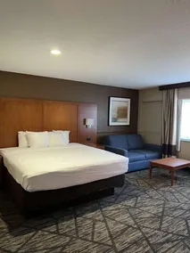 SureStay Plus by Best Western Mobile I-65 - Chambre