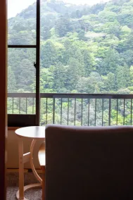 Shikanoyu Hotel - Vue de la chambre