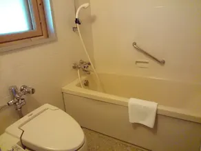 Karuizawa Prince Hotel West - Baño