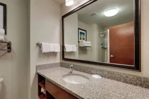 Drury Inn & Suites Charlotte Arrowood - Salle de bain