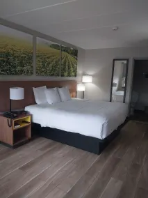 Days Inn by Wyndham Vineland - Chambre