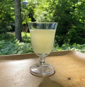 EverGreen - Ristorante