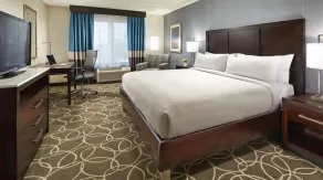 Hilton Garden Inn Springfield - Chambre