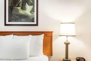 Baymont by Wyndham Orlando South - Chambre