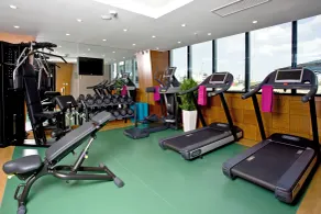 Holiday Inn Gaziantep by IHG - Fitness facility