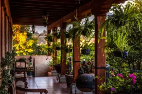 Naif Boutique Hotel - View from room