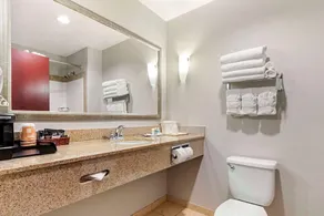 Comfort Suites Palestine - Chambre