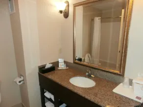Comfort Suites Savannah North - Salle de bain