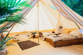 Star Surf Camps - Rum