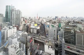 remm Roppongi - View from room