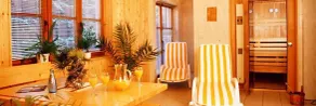 Hotel am Gisselgrund - Sauna seca