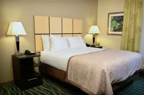 Candlewood Suites Denver Northeast - Brighton by IHG - Chambre