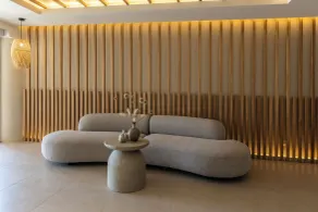 Pefkian Ethos Hotel & Suites - Reception