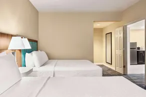 Hampton Inn Atlanta Stone Mountain - Chambre