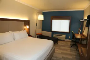 Holiday Inn Express Hotel & Suites Greenville by IHG - Chambre