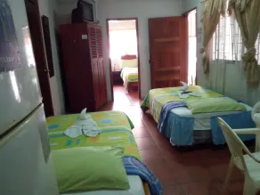 Hostal Miconia - View from room