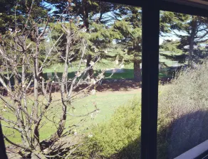 Bush Inn Court Motel - Ausblick vom Zimmer