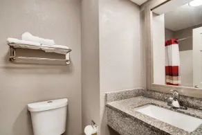 Red Roof Inn & Suites Pensacola-NAS Corry - Badeværelse