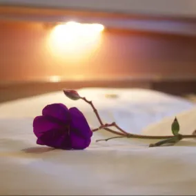 Hotel Wermelt - Quarto