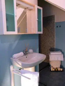 Villa con barbecue e giardino | Vista sul giardino - Bagno