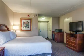 Hilton Garden Inn Detroit Metro Airport - Chambre