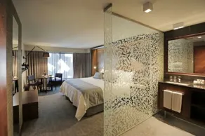 Hotel Cumbres Lastarria - View from room