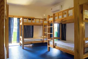 GREEN NEST HOSTEL - Anjuna - North Goa - Room
