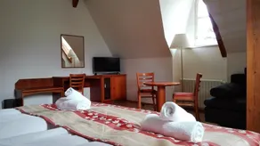 Residence Dykova - former Pension Jana, Domov Mládeže - Habitación