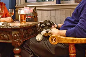 The Bridge Pub & Rooms - Restaurant