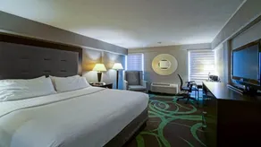 Holiday Inn At the Campus by IHG - Chambre