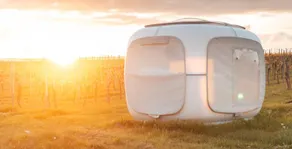 Romantik zwischen Weinreben - Cube - Rom