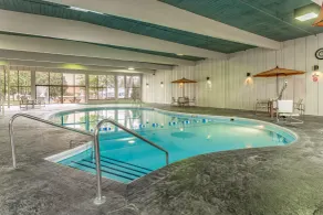Holiday Inn Rockford by IHG - Pool