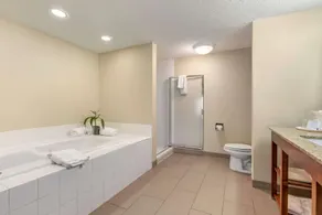 Comfort Inn Blythewood - North Columbia - Rom
