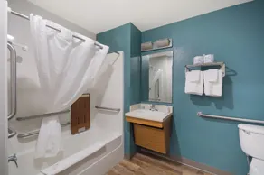 WoodSpring Suites Greenville Central I-85 - Badeværelse