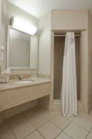 Wyndham Flint MI/Grand Blanc/Bishop Airport/Conference Ct - Bathroom