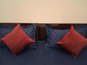 Himalayan Wellness Retreat - Chambre