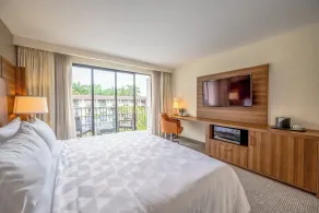 Holiday Inn San Jose La Sabana by IHG - Rum