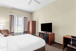 Comfort Inn & Suites Grenada - Chambre