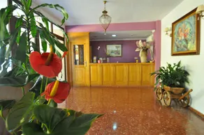 Hotel Goya - Réception