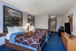 Super 8 by Wyndham Cobleskill NY - Værelse