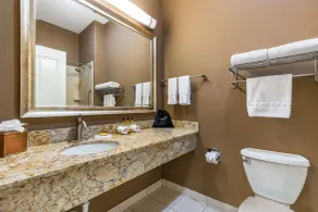 Best Western Plus Lytle Inn and Suites - Badeværelse