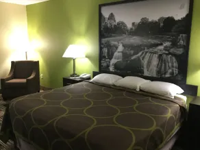 Super 8 by Wyndham Greer/Spartanburg Area - Chambre