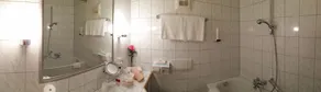 Bergidyll & Hotel Trofana - Bagno