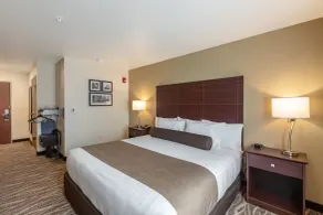 Cobblestone Hotel & Suites Appleton International Airport - Room